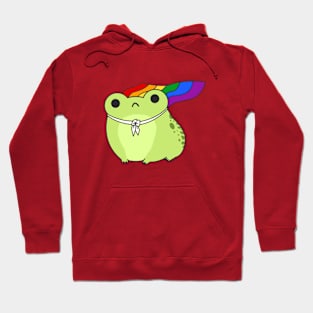 Ribbit Flag Hoodie